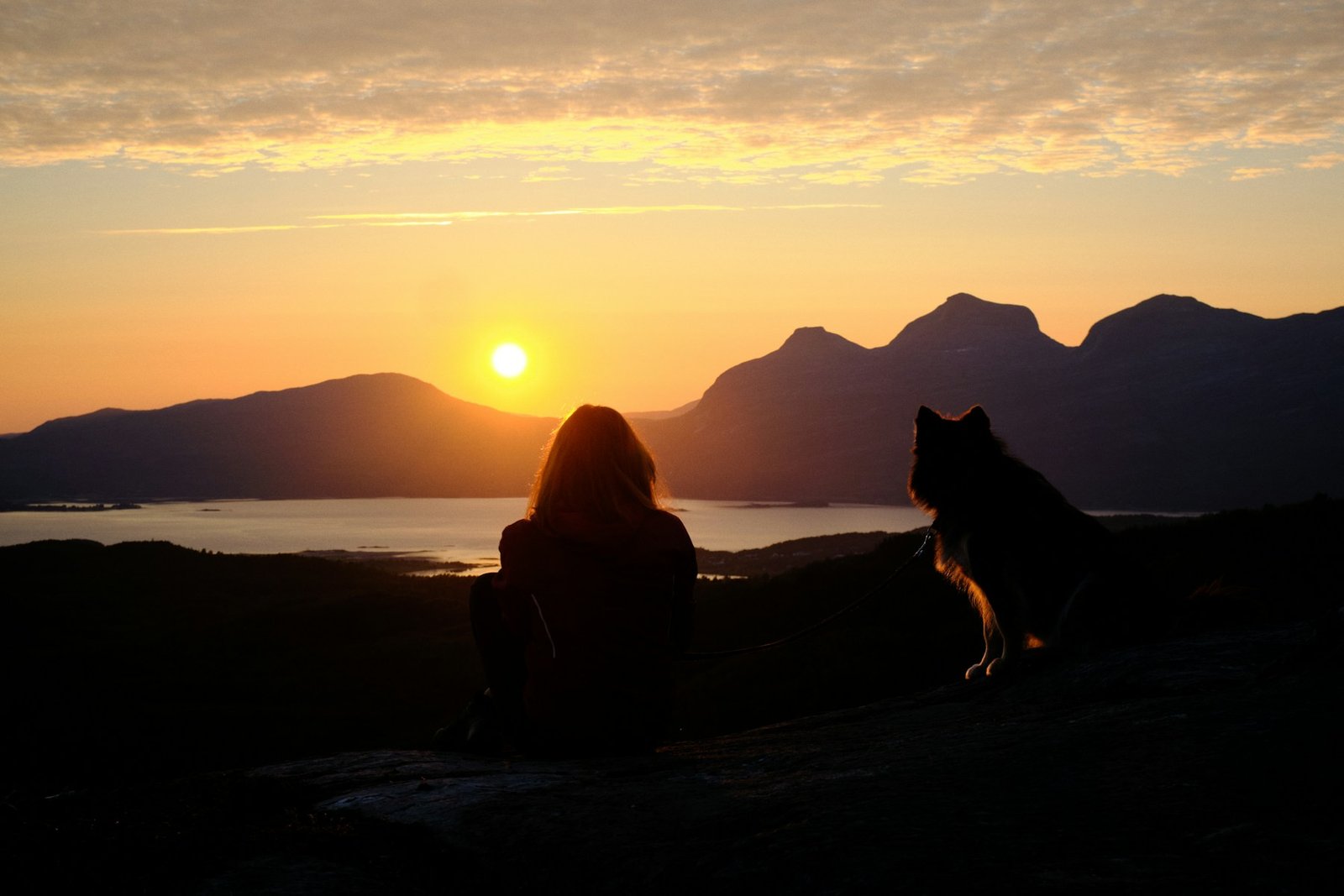 A woman and her dog watching the sunset